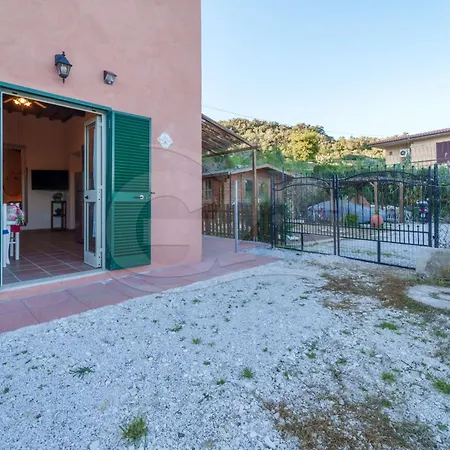 Bougainvilles - Goelba Portoferraio