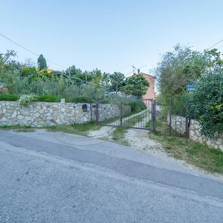 Bougainvilles - Goelba Portoferraio